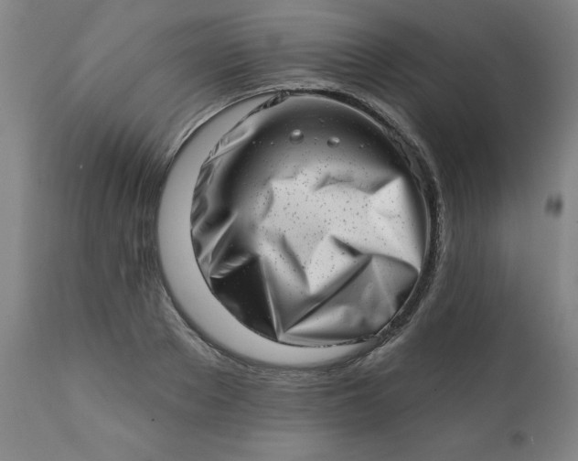 X0000113200889200909241356