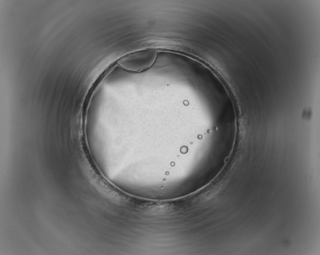 X0000113200891200909241356