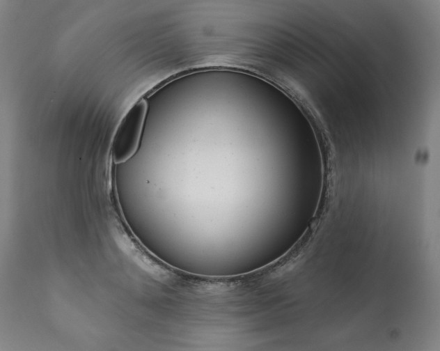 X0000113200892200909241356