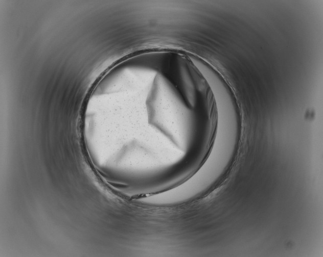 X0000113200893200909241356