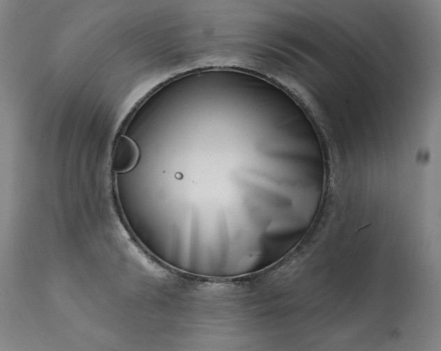 X0000113200894200909241356