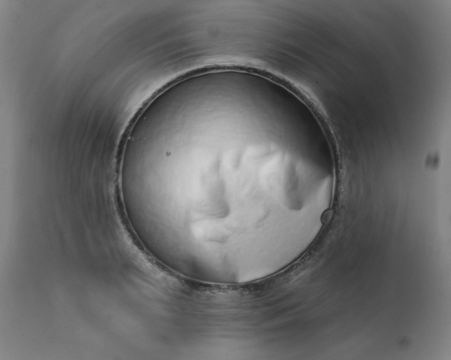 X0000113200895200909241356