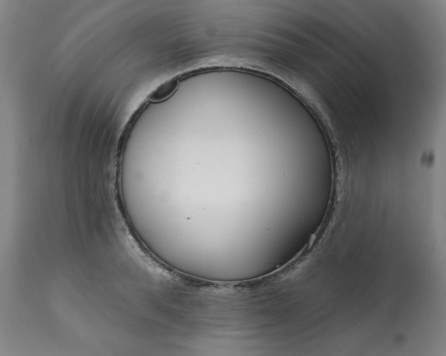 X0000113200896200909241356