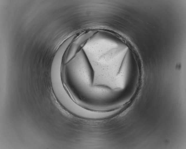 X0000113200897200909241356