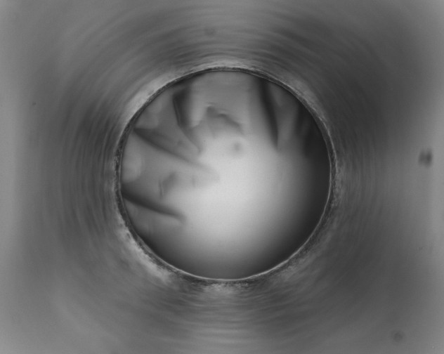 X0000113200898200909241356