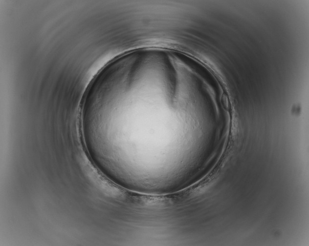 X0000113200899200909241356