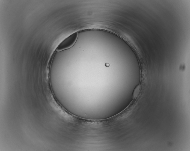 X0000113200900200909241356