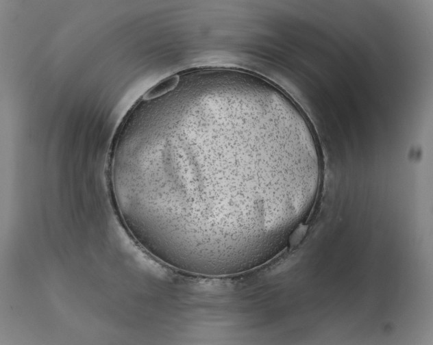 X0000113200901200909241356