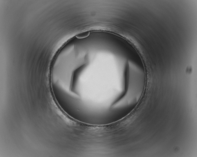 X0000113200902200909241356