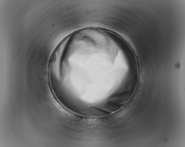 X0000113200903200909241356