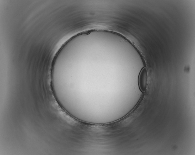 X0000113200904200909241356