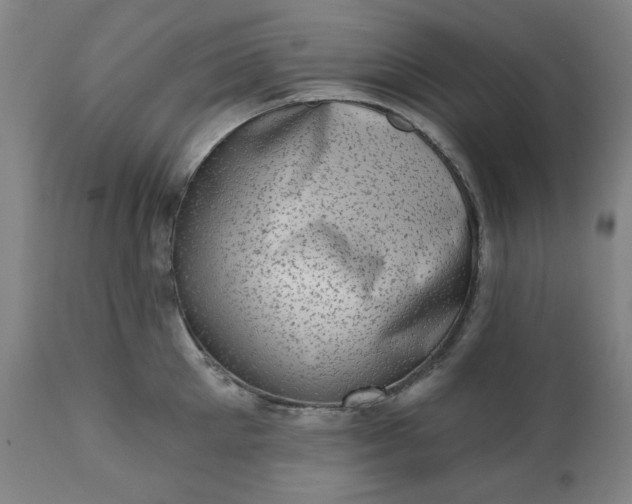 X0000113200905200909241356