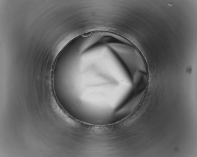 X0000113200906200909241356