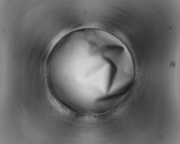 X0000113200907200909241356