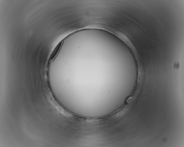 X0000113200908200909241356