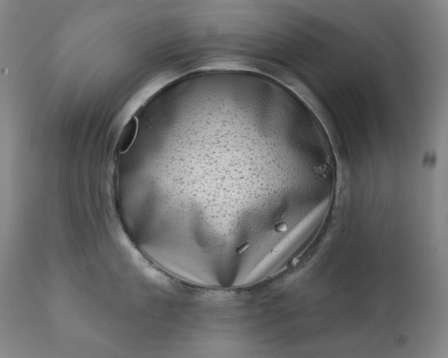 X0000113200909200909241356