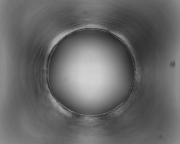 X0000113200910200909241356