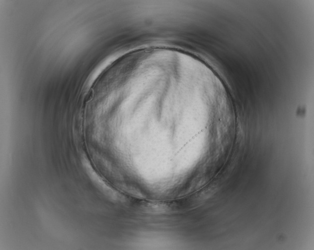 X0000113200911200909241355