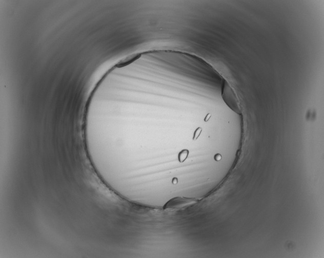 X0000113200912200909241355