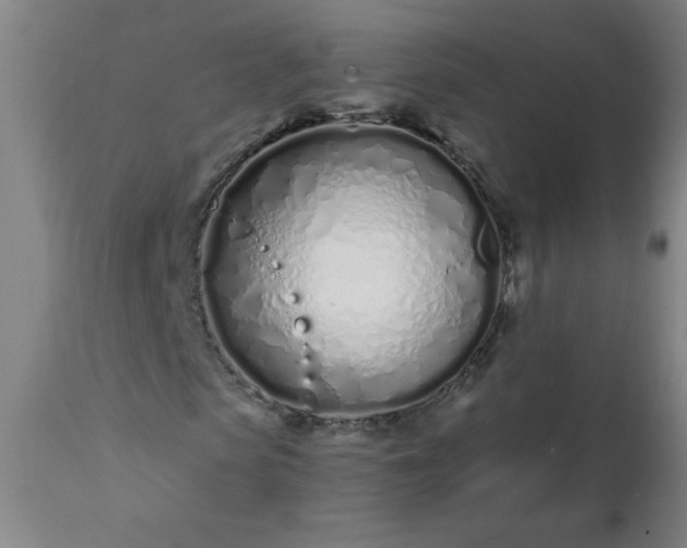 X0000113200913200909241355