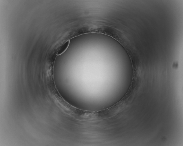 X0000113200914200909241355