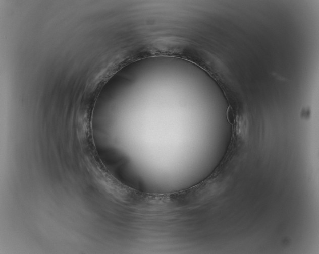 X0000113200915200909241355