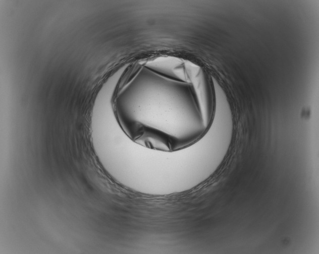 X0000113200916200909241355