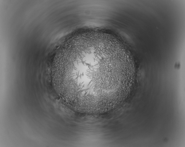 X0000113200917200909241355