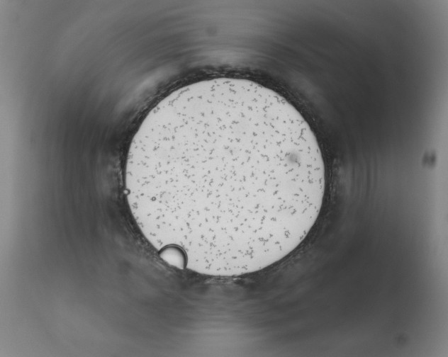 X0000113200918200909241355