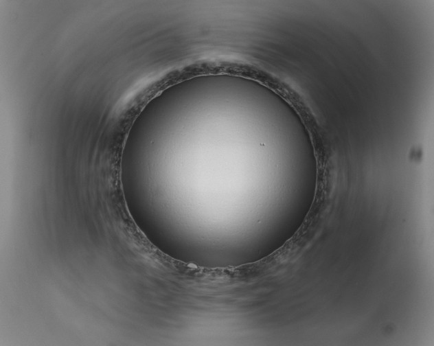 X0000113200919200909241355