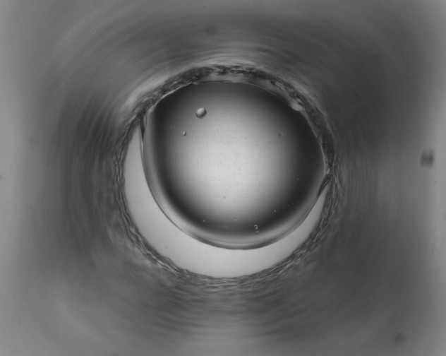 X0000113200920200909241355