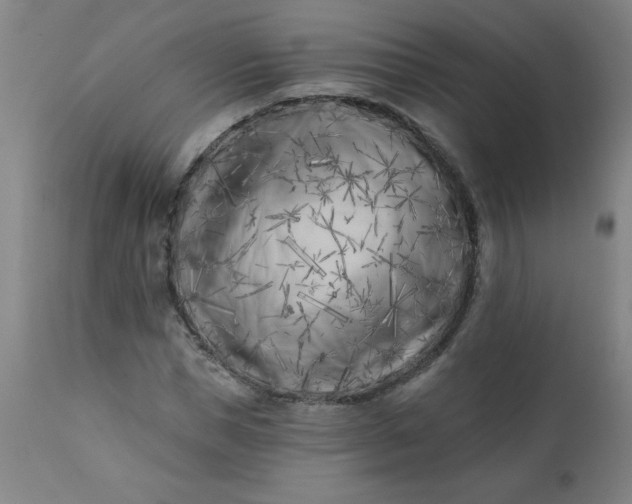 X0000113200921200909241355