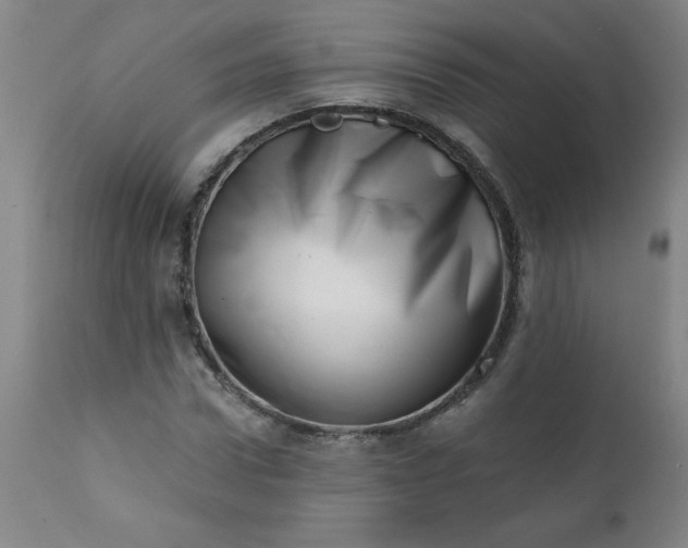 X0000113200922200909241355