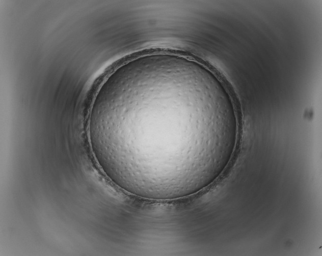 X0000113200923200909241355