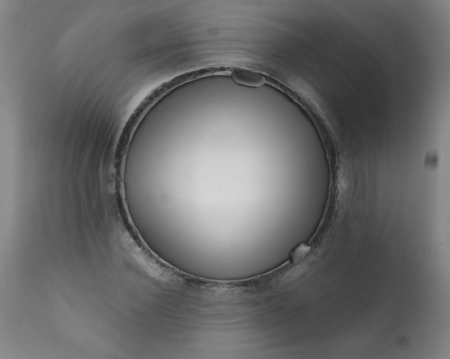 X0000113200924200909241355