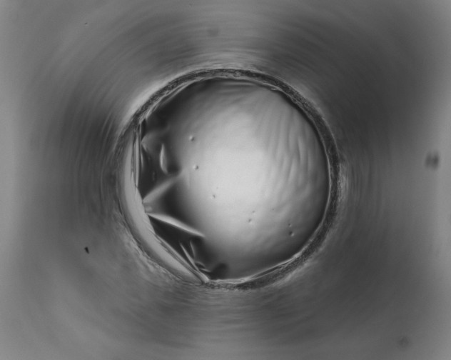 X0000113200925200909241355