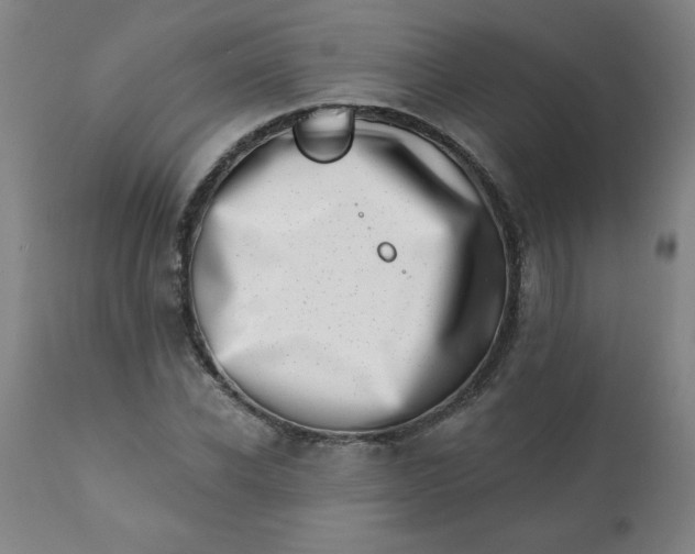 X0000113200926200909241355