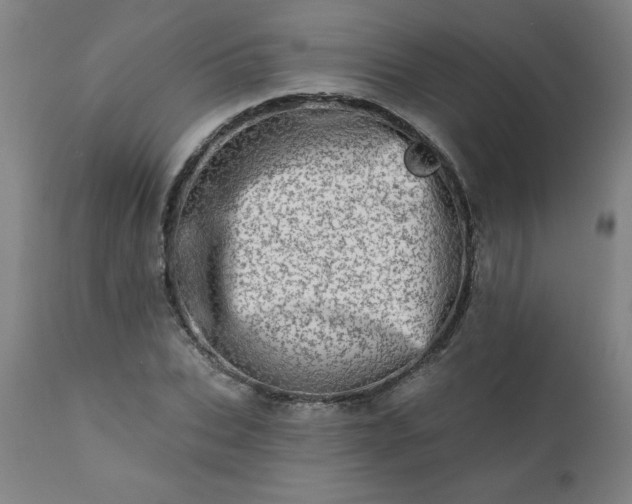 X0000113200927200909241355