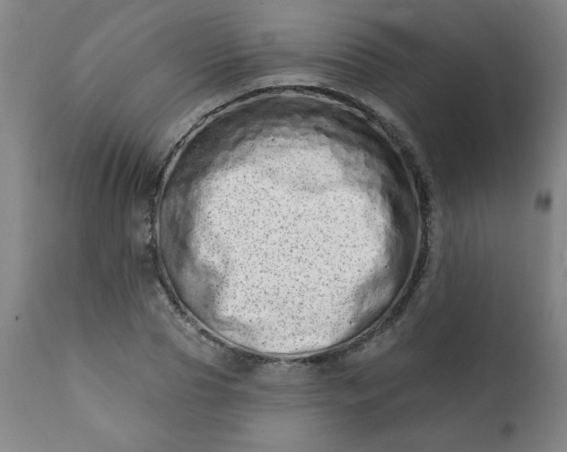 X0000113200929200909241355