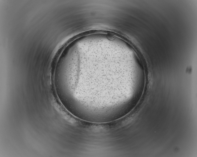 X0000113200931200909241355