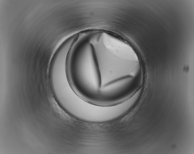 X0000113200932200909241355