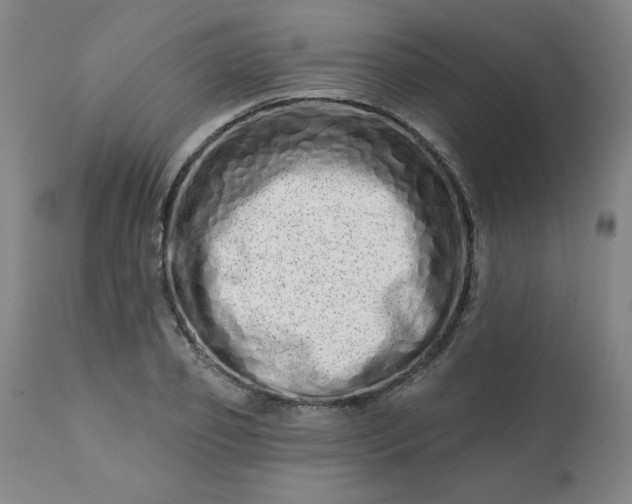 X0000113200933200909241355