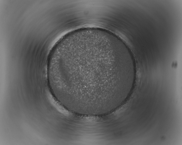 X0000113200934200909241355