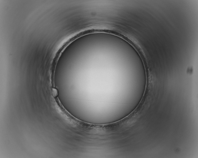 X0000113200935200909241355