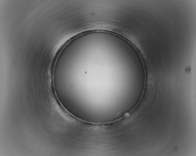 X0000113200936200909241355