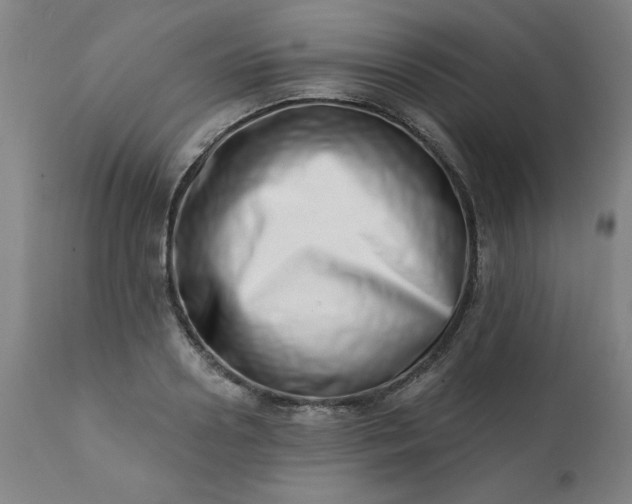 X0000113200938200909241355