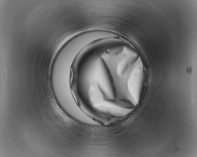 X0000113200940200909241355