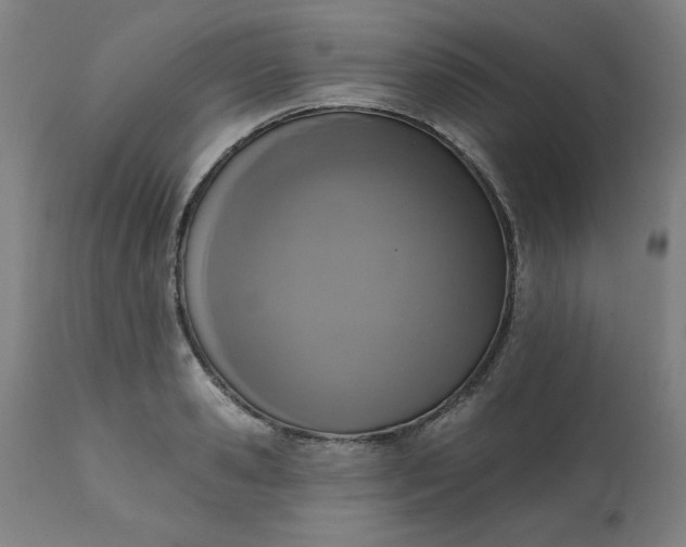 X0000113200941200909241355