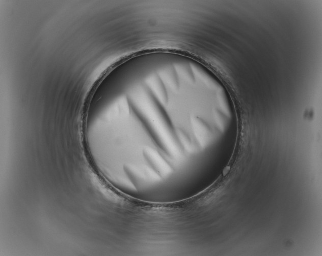 X0000113200942200909241355