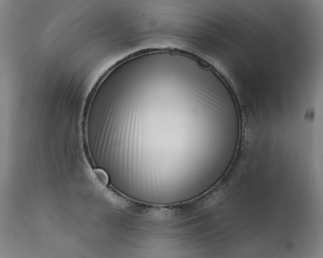 X0000113200943200909241355